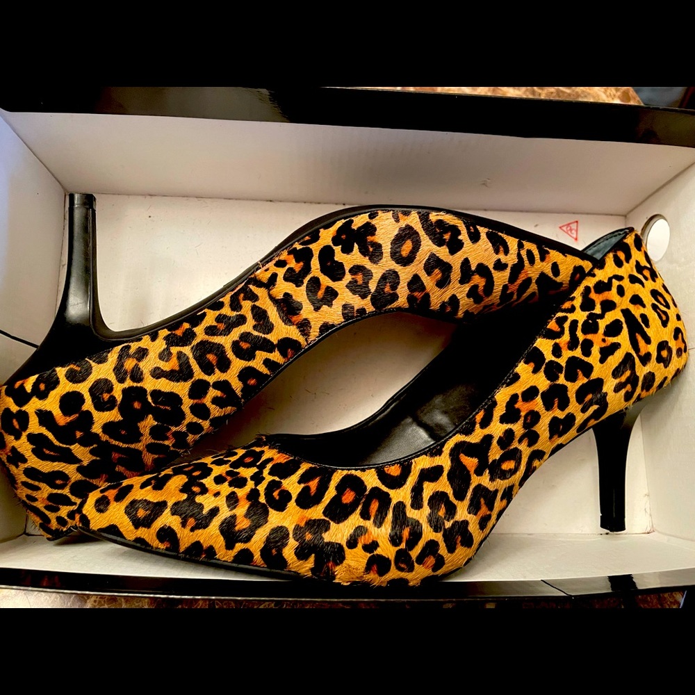 Leopard Print Fun
